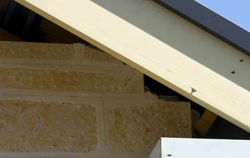 soffit repair Ladbroke